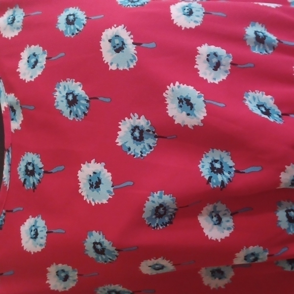 J . Crew floral dress size 2.Red with Blue and off white flowers. Beautiful. - Picture 3 of 15